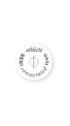 Icon of miracle - Hado sticker (athlete)